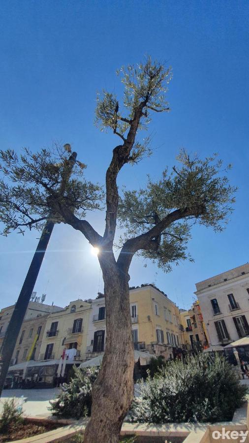 Апартаменты Dimora Donna Vittoria - Bari Vecchia Экстерьер фото